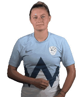 nzs_si soccer slovenia slovenija dominika Sticker