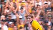 Celebration Goal GIF by Football Australia