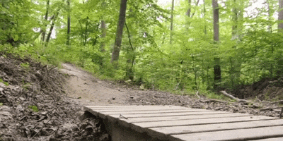 maryland GIF