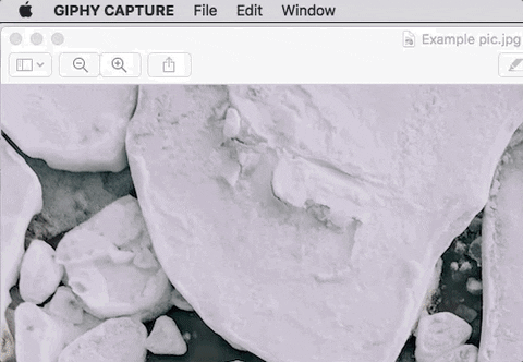 acastineiraf giphyupload GIF