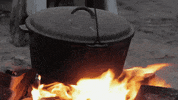 jugendleiter camp essen campfire kochen GIF