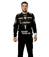 Sport Handball Sticker by SCDHFK