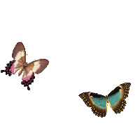 Newpost Sticker by TATY PARRALES