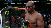 Mixed Martial Arts Sport GIF by UFC