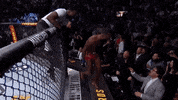 Mixed Martial Arts Sport GIF by UFC