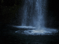 Silber Barrique Deutschen Institut Service Qualitaet GIF by FranchiseONE.de