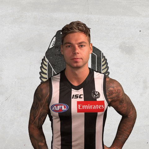 collingwoodfc giphyupload pies collingwood magpies GIF