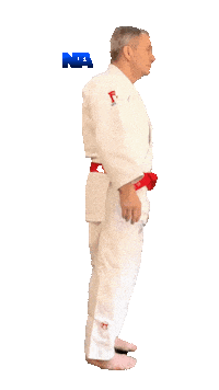 Grappling Martial Arts Sticker by NA Effective Fighting