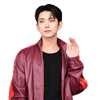 Idol Joshua Sticker by koreadispatch