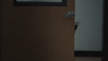 Alaska Thunderfuck Monster GIF by Crypt TV