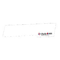 CholaMSGeneralInsurance chola ms pledge2protect pledge 2 protect Sticker