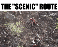 redbull  GIF