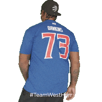 Buffalo Bills Sticker by West Herr