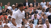 Novak Djokovic No GIF by Wimbledon