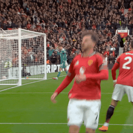 Premier League Shrug GIF by Manchester United