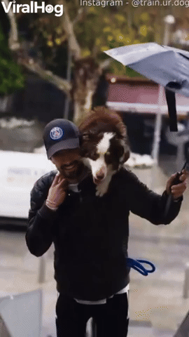 Man Carries His Scared Dog Up an Escalator
