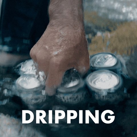 Sponsored gif. Hand reaches into a creek and pulls out a soaked six-pack of Busch Light beer. Text reads, “Dripping.”