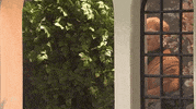 Daniel Craig Snl GIF by Saturday Night Live