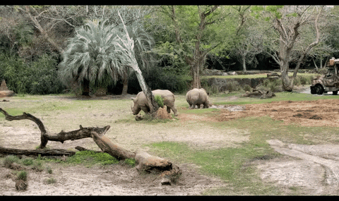 lesleywake giphyupload GIF