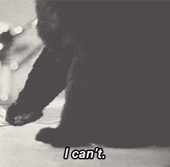 salem GIF