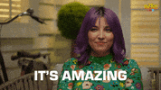Renovate Channel 9 GIF by The Block
