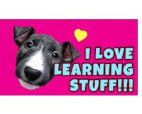 Dog Trainer Sticker