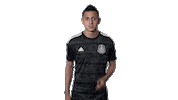 football mexico Sticker by MiSelecciónMX