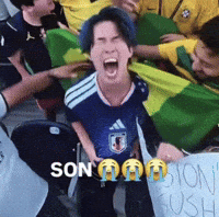 World Cup Football GIF