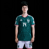 Fifa World Cup Mexico GIF by Respective