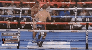 toprank boxing fighting champion espn GIF