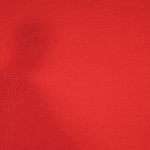 Fun Soccer GIF by Fortuna Düsseldorf