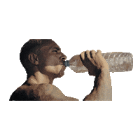 Water Trump Sticker by Noah's Ark