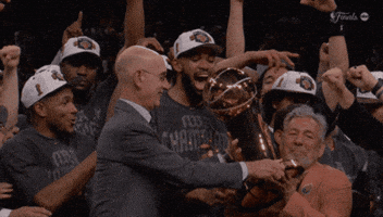 New York Win GIF by NBA