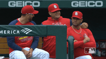 Major League Baseball Hug GIF by MLB