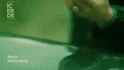 Icerde GIF by Show TV