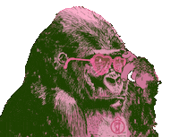 Gorilla Sticker by ÔPYM