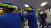 Blue Jays Baseball GIF by Toronto Blue Jays