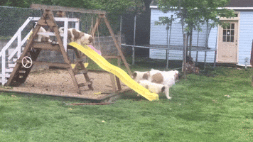 Look Out Below!!