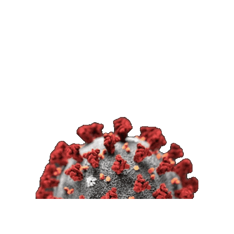 Virus Sticker