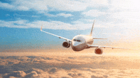 flying the plane