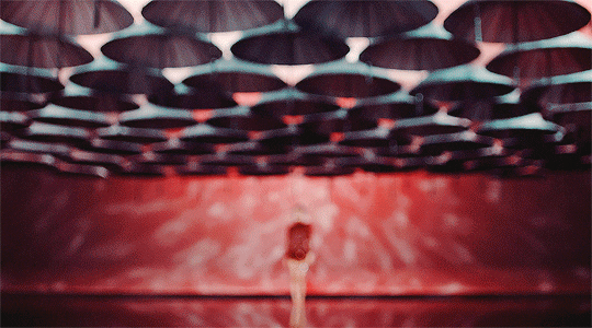 tintuckpop giphyupload GIF