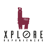 Bike Explorar Sticker by Gsport