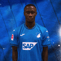 Sport Dust Off GIF by TSG Hoffenheim