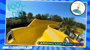 Globtroterek fun summer pool camping GIF