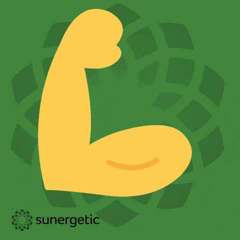 Suner GIF by Sunergetic