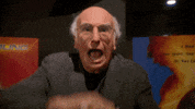 curb your enthusiasm GIF