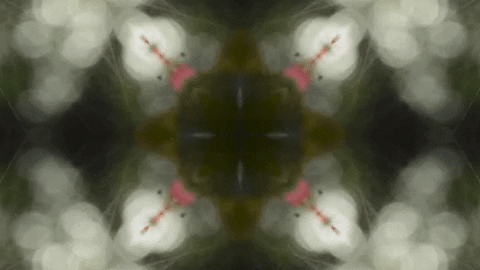 Art Love GIF by jorgemariozuleta