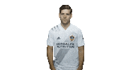 Los Angeles Football Sticker by LA Galaxy