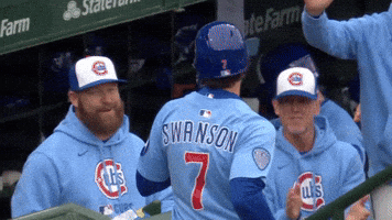 Chicago Cubs GIF by TheDreamTeam 