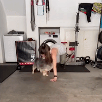 Pawfect Workout Partner: Dog Performs Gym Routine